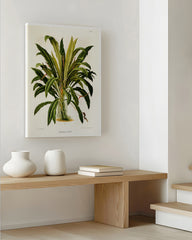 After Hover: Anthurium Jilekii - Tropenpflanze