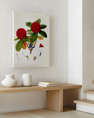 After Hover: Roter Rhododendron