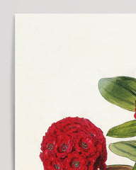 After Hover: Roter Rhododendron