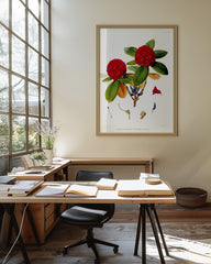 After Hover: Roter Rhododendron