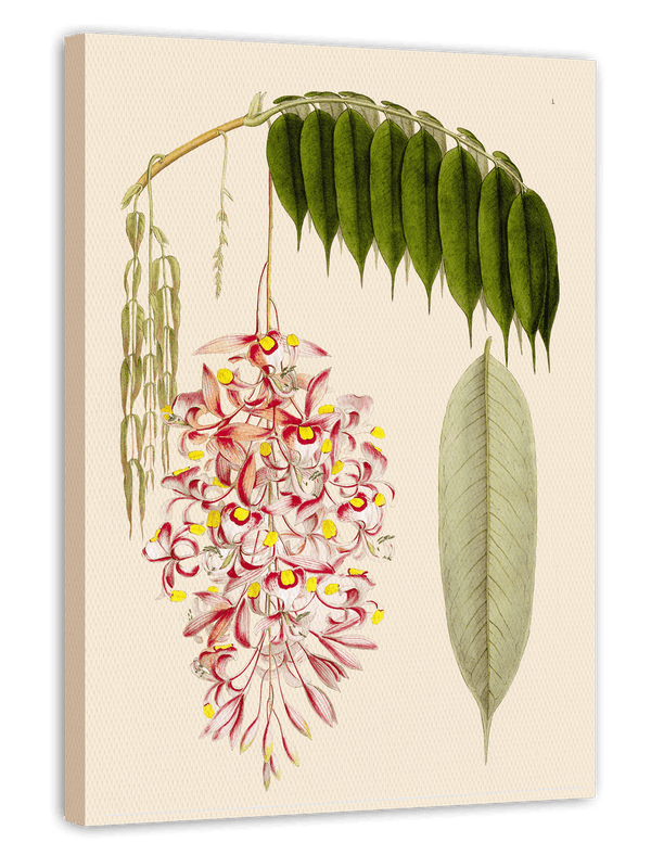 Zweig mit Blättern und Blüten