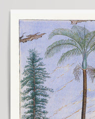 After Hover: Areca Sapida - Tropische Landschaft