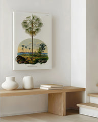 After Hover: Livistona - Australische Landschaft mit Palmen