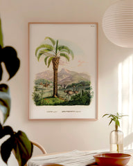 After Hover: Cocos capitata - Tropische Landschaft