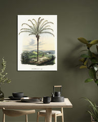 After Hover: Maximiliana regia - Palme