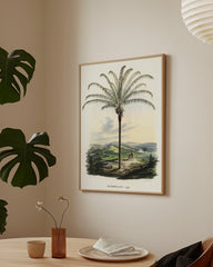 After Hover: Maximiliana regia - Palme