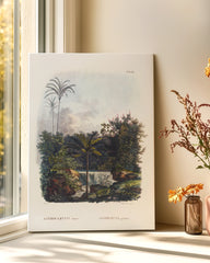 After Hover: Astrocaryum - Dschungel