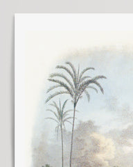 After Hover: Astrocaryum - Dschungel