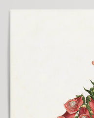 After Hover: Digitalis Purpurea - Roter Fingerhut