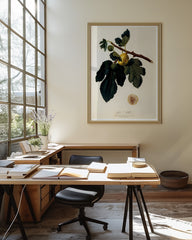 After Hover: Feigen am Zweig