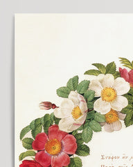 After Hover: Bunter Blumenkranz