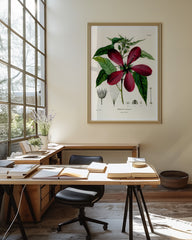 After Hover: Roter Hibiskus