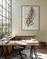 After Hover: Lobelia Tupa - Teufelstabak