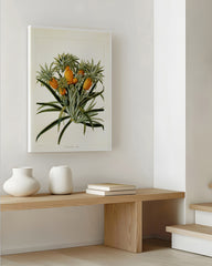 After Hover: Ananas am Ananasbaum