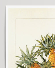 After Hover: Ananas am Ananasbaum