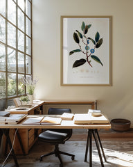 After Hover: Napoleonaea Imperialis - Westafrikanische Pflanze