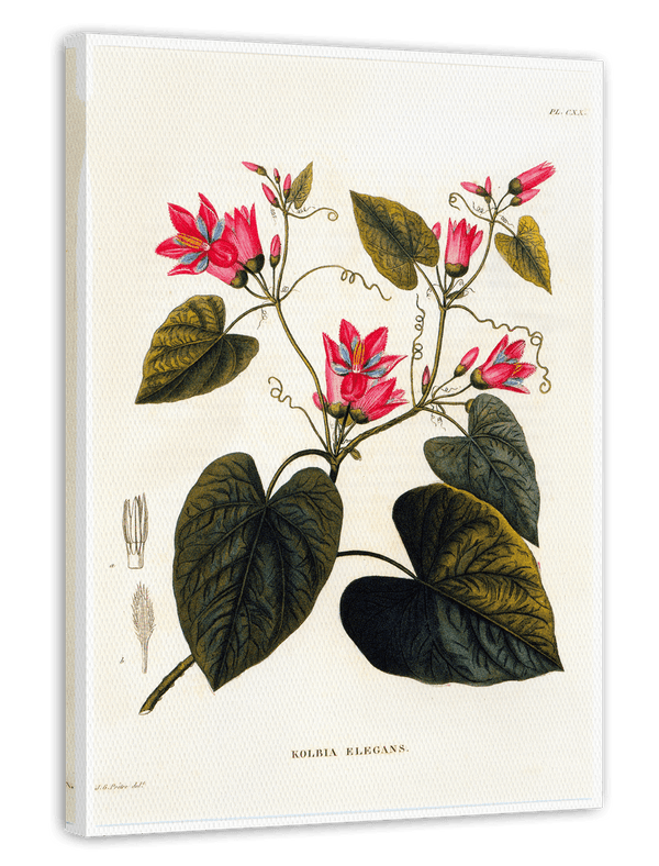 Zweig mit roten Blüten