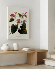 After Hover: Zweig mit roten Blüten