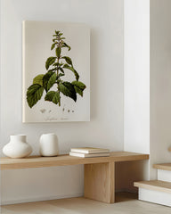 After Hover: Josephinia imperatricis