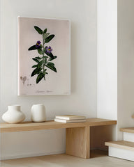 After Hover: Pflanze mit lila Blüten