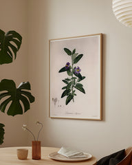 After Hover: Pflanze mit lila Blüten