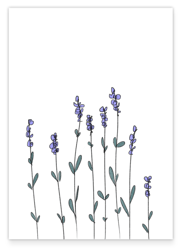 Minimalistische Zeichnung - Lavendel