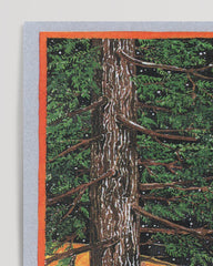 After Hover: Der Einsiedler - Mann im Wald Tarot Zeichnung "The Hermit"