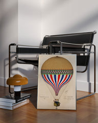 After Hover: Französischer Heißluftballon "Le Tricolore"