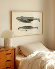 After Hover: Buckelwal und Finnwal im Vintage-Look