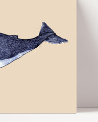 After Hover: Meerestier Buckelwal in blau