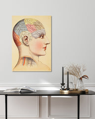 After Hover: Phrenologie vom Kopf