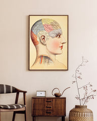 After Hover: Phrenologie vom Kopf