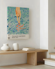 After Hover: Schwimmer bei den Olympischen Jugendspielen Berlin 1972