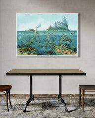 After Hover: Unterwasser-Motiv "Nature in descending regions"