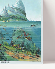 After Hover: Unterwasser-Motiv "Nature in descending regions"