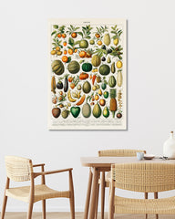 After Hover: Adolphe Philippe Millot - Botanische Karte bunter Früchte