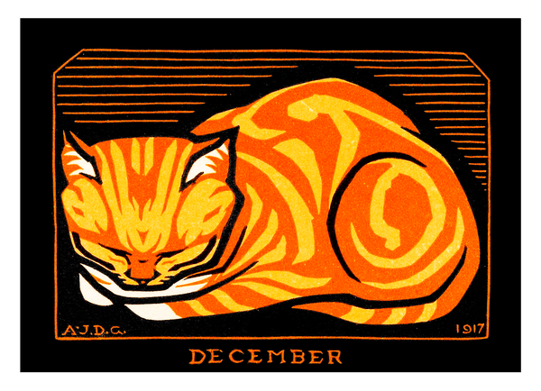 "December Cat" in Orange