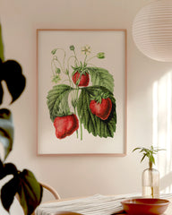 After Hover: Erdbeer-Früchte am Zweig