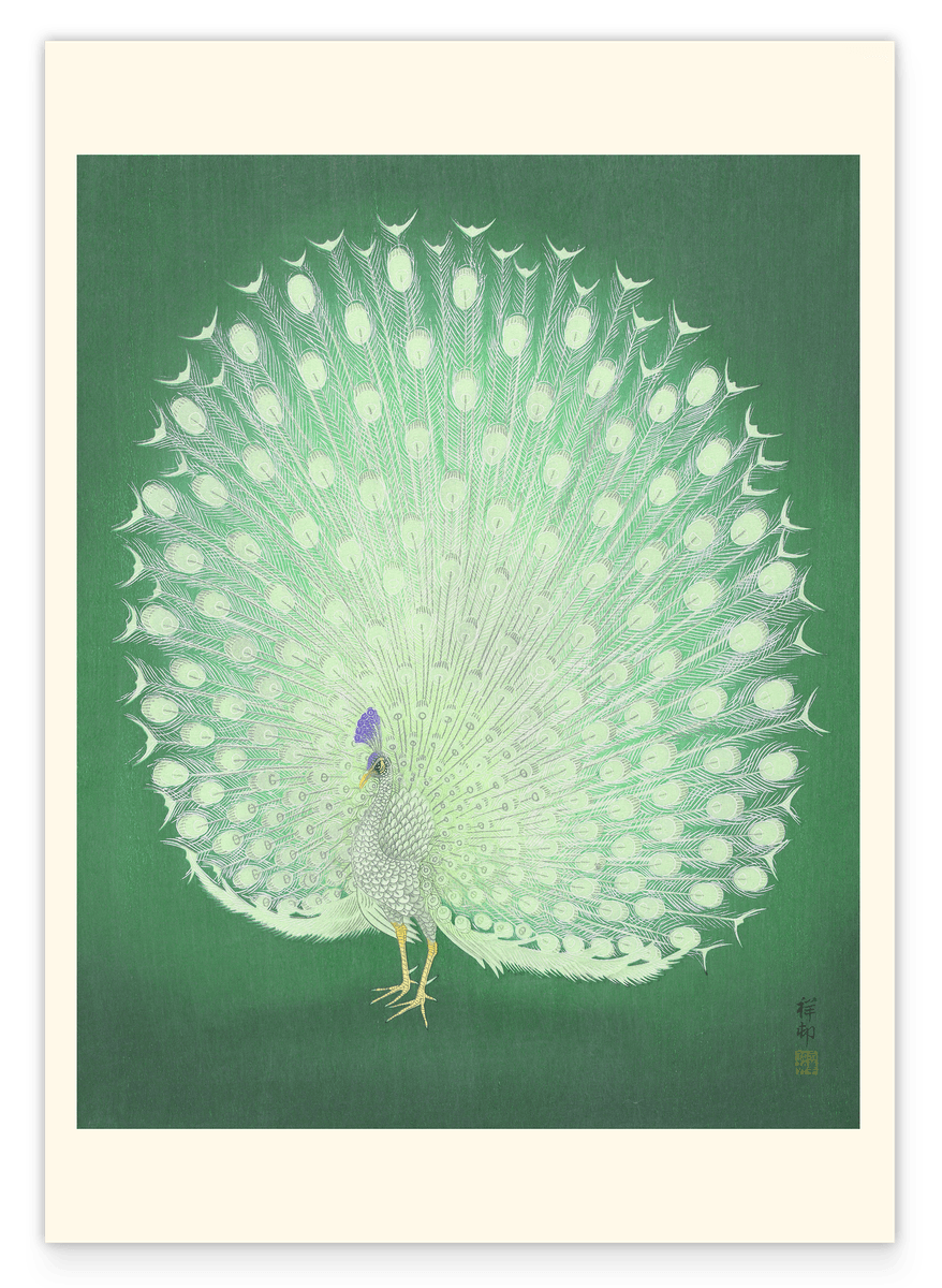 Ohara Koson - Weißer Pfau mit Rad