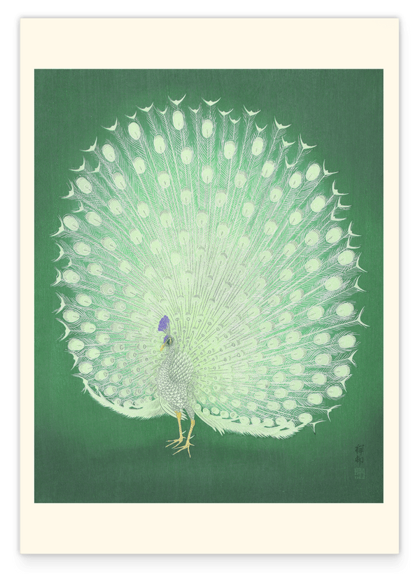 Ohara Koson - Weißer Pfau mit Rad