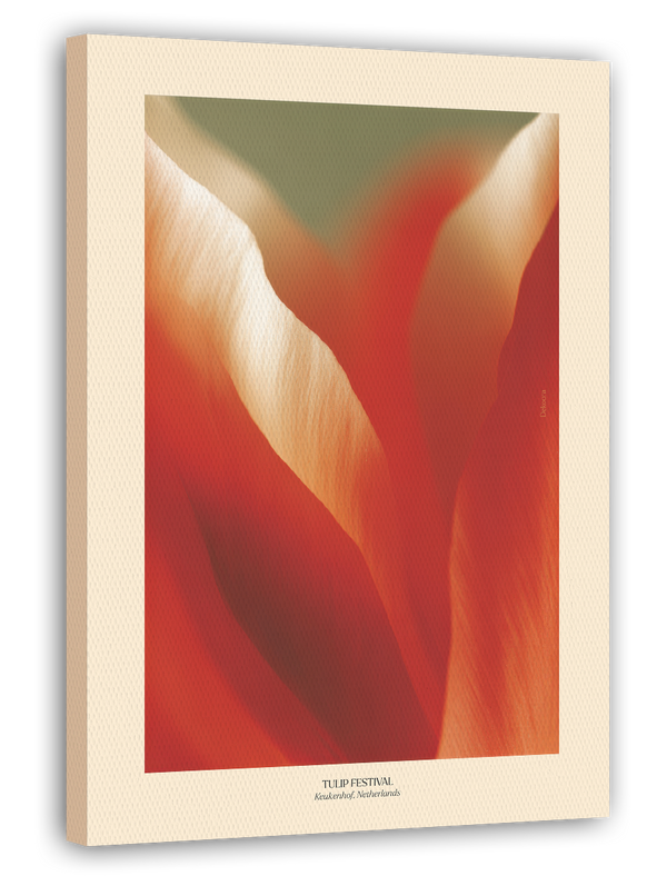 Thriving Tulip: Tulpen Festival Niederlande No. 1