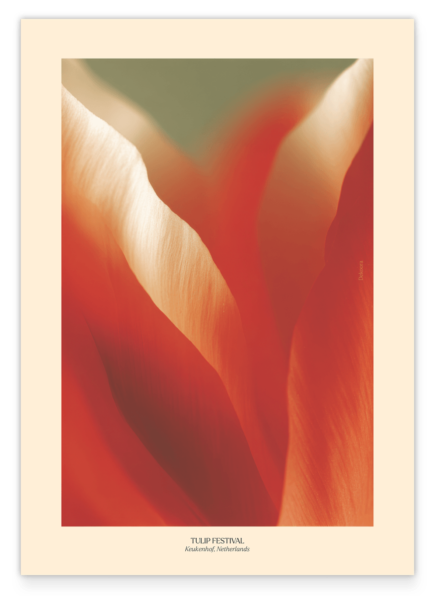 Thriving Tulip: Tulpen Festival Niederlande No. 1