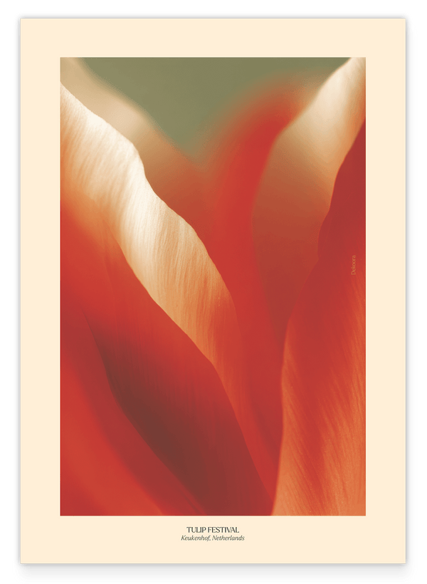 Thriving Tulip: Tulpen Festival Niederlande No. 1