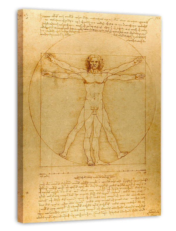 Leonardo da Vinci - Vitruvianischer Mensch