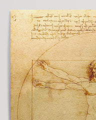 After Hover: Leonardo da Vinci - Vitruvianischer Mensch