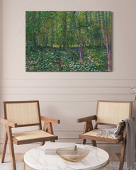 After Hover: Vincent van Gogh - Bäume und Unterholz