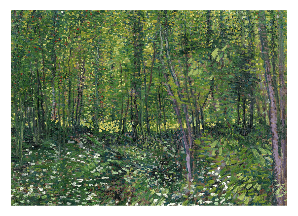 Vincent van Gogh - Bäume und Unterholz