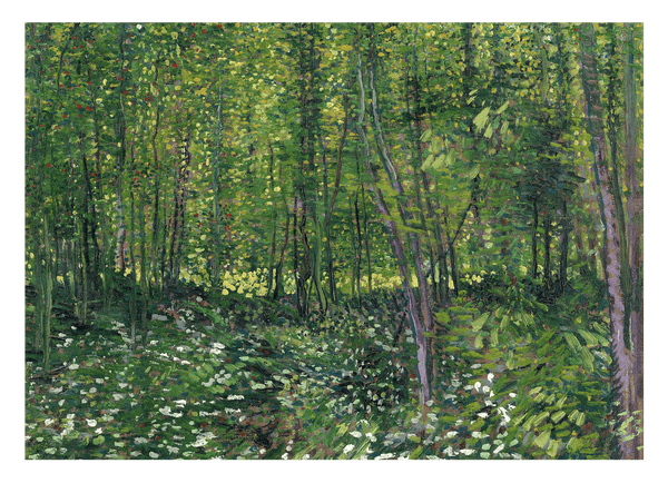 Vincent van Gogh - Bäume und Unterholz