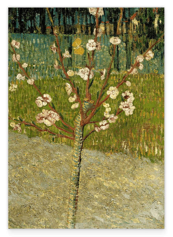 Vincent van Gogh - Blühender Mandelbaum