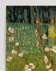 After Hover: Vincent van Gogh - Blühender Mandelbaum